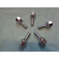 Wheel Bolts